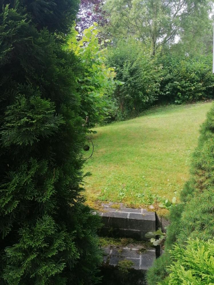 Fewo Grenzenlos In Ramsberg 普莱因费尔德 外观 照片